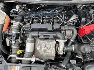 Gebrauchte Motor Ford Fiesta 6 (JA8) 1.6 TDCi 16V 90 Preis € 699,99 Margenregelung angeboten von Autodemontage Aandijk