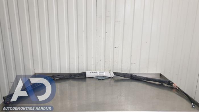 Roof airbag
