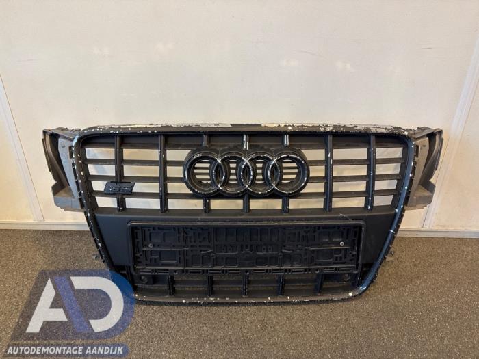 Gebrauchte Grill Audi S5 Sportback (8TA) S5 3.0 TFSI V6 24V Preis € 99,99 Margenregelung angeboten von Autodemontage Aandijk