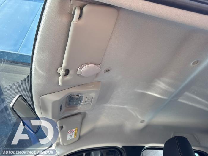 Używane Podsufitka Dacia Spring 45 Cena € 124,99 Procedura marży oferowane przez Autodemontage Aandijk