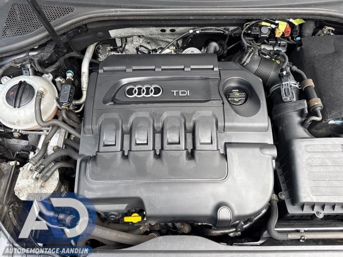 Używane Silnik Audi A3 (8V1/8VK) 1.6 TDI Ultra 16V Cena € 1.349,99 Procedura marży oferowane przez Autodemontage Aandijk