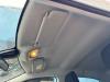 Citroën C3 (SX/SW) 1.2 Vti 12V PureTech Dachverkleidung