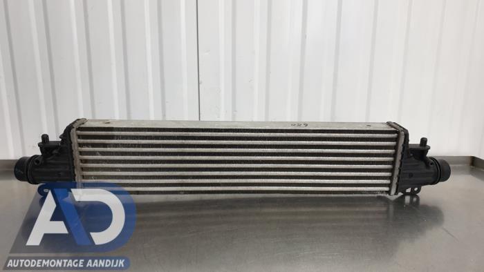 Usados Intercooler Opel Corsa E 1.0 SIDI Turbo 12V Precio € 99,99 Norma de margen ofrecido por Autodemontage Aandijk