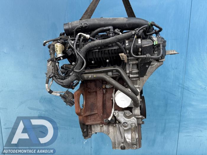 Used Engine Ford Fiesta 6 (JA8) 1.0 EcoBoost 12V 100 Price € 1.499,99 Margin scheme offered by Autodemontage Aandijk