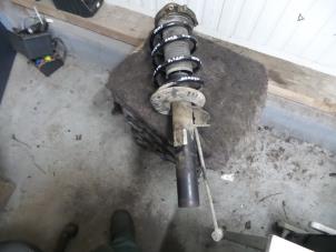 Used Front shock absorber rod, right Seat Altea Price on request offered by Autodemontage Aandijk