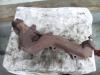 Exhaust manifold from a Volvo V50 2006