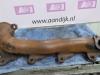 Exhaust manifold from a Toyota Corolla Verso (R10/11) 2.2 D-4D 16V 2008