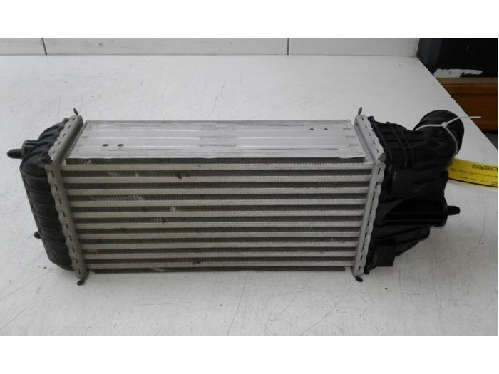 Usados Intercooler Opel Crossland (X) 1.2 Turbo 12V Euro 6d-temp Precio € 61,95 Norma de margen ofrecido por Wessel Parts & Service B.V.