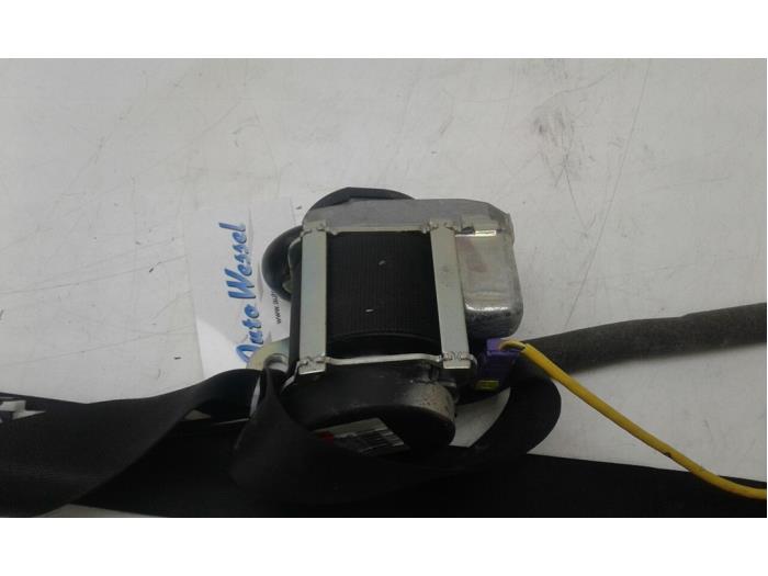 Seatbelt adjustment motor