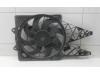 Motor de aleta de refrigeración de un Fiat Doblo (263) 1.3 D Multijet Euro 4 2010