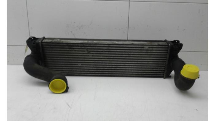 Usados Intercooler Mercedes Sprinter 3,5t (906.63) 309 CDI 16V Precio € 78,75 Norma de margen ofrecido por Wessel Parts & Service B.V.