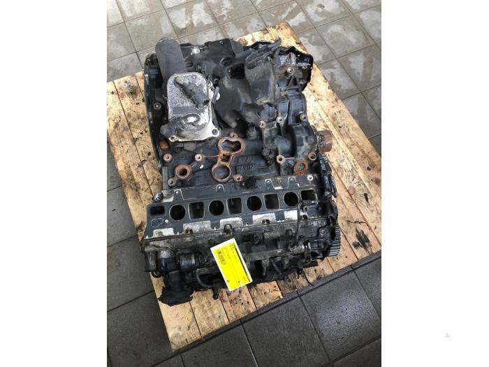 Used Engine Volkswagen Golf VIII (CD1) 2.0 TDI BlueMotion 16V Price on request offered by Wessel Parts & Service B.V.