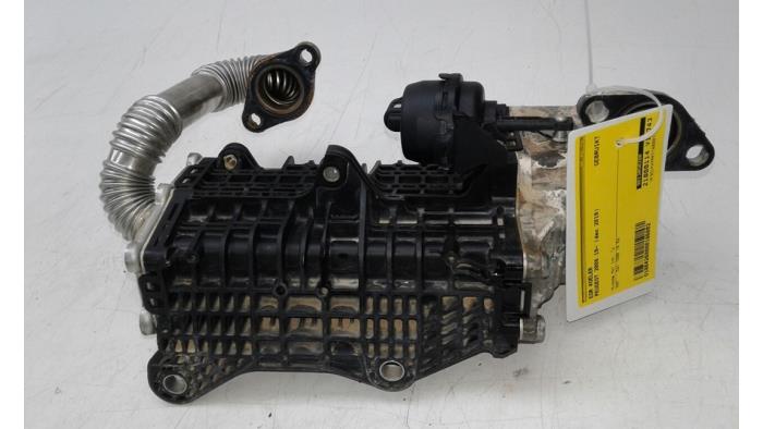 Peugeot 2008 Refroidisseurs RGE stock | ProxyParts.fr