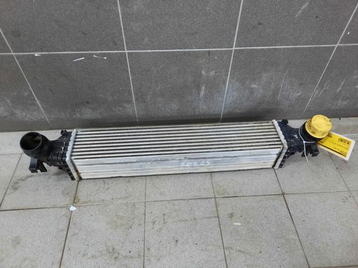 Used Intercooler Opel Astra K 1.6 CDTI 110 16V Price € 131,25 Margin scheme offered by Wessel Parts & Service B.V.