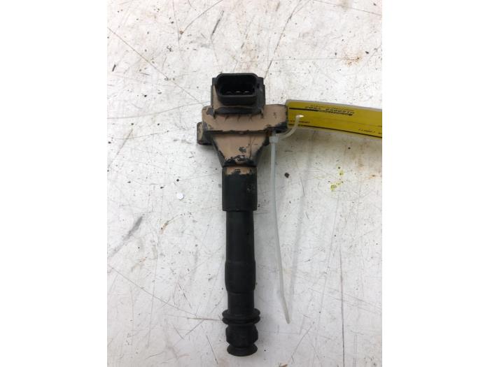 Usagé Bobine Porsche Boxster (987) 2.7 24V Prix € 36,75 Règlement à la marge proposé par Wessel Parts & Service B.V.