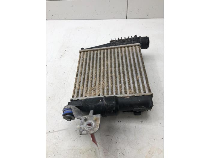 Usados Intercooler Opel Grandland (X) 1.5 CDTI 130 Precio € 61,95 Norma de margen ofrecido por Wessel Parts & Service B.V.