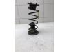 Rear coil spring from a Volkswagen Caddy Combi V (SBB/SBJ), 2020 2.0 TDI BlueMotionTechnology, MPV, Diesel, 1.968cc, 90kW (122pk), FWD, DTRC, 2020-09 2020