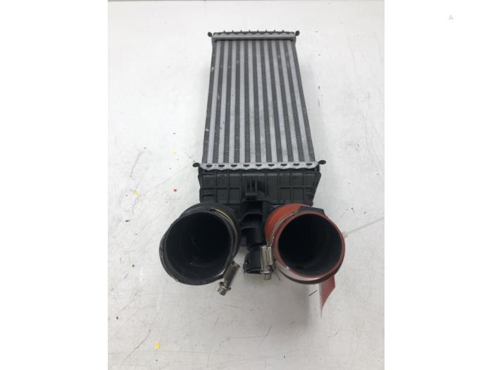 Usagé Intercooler Opel Crossland (X) 1.2 Turbo 12V Prix € 61,95 Règlement à la marge proposé par Wessel Parts & Service B.V.