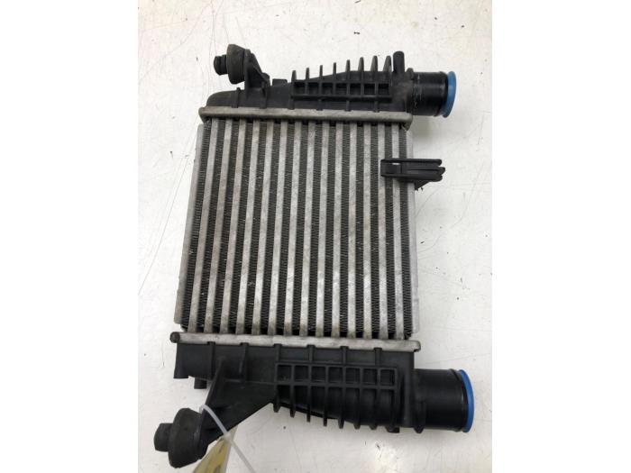 Usagé Intercooler Nissan Juke (F15) 1.5 dCi Prix € 93,45 Règlement à la marge proposé par Wessel Parts & Service B.V.