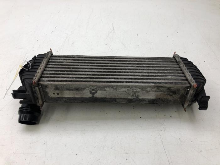 Usados Intercooler Mercedes Citan (415.6) 1.5 109 CDI Precio € 78,75 Norma de margen ofrecido por Wessel Parts & Service B.V.