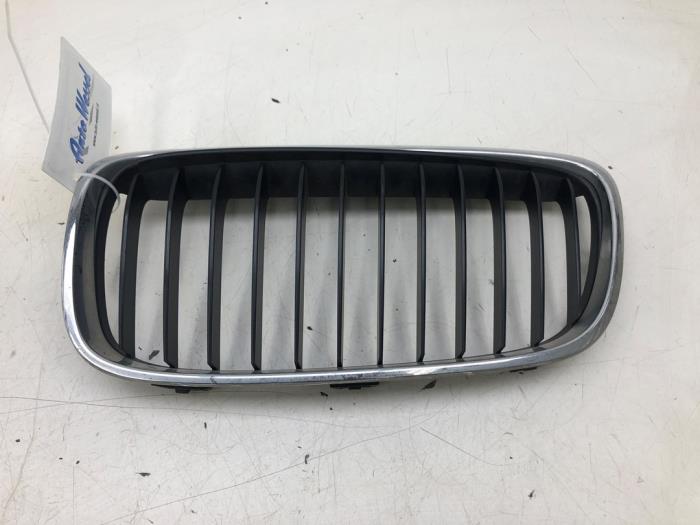 Używane Grill BMW 2-Serie Cena € 51,45 Procedura marży oferowane przez Wessel Parts & Service B.V.