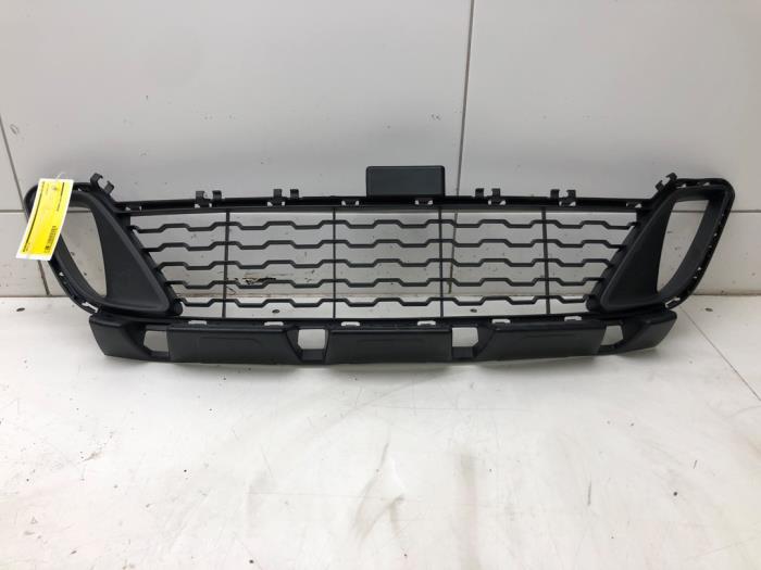 Begagnade Grill BMW 2-Serie Pris € 72,45 Marginaltabell erbjuds av Wessel Parts & Service B.V.