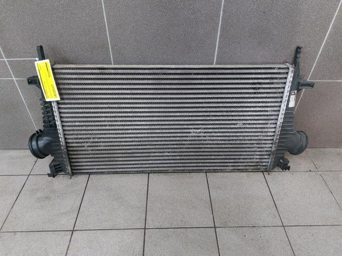 Usados Intercooler Opel Insignia Sports Tourer 2.8 V6 Turbo 24V 4x4 Ecotec Precio € 51,45 Norma de margen ofrecido por Wessel Parts & Service B.V.