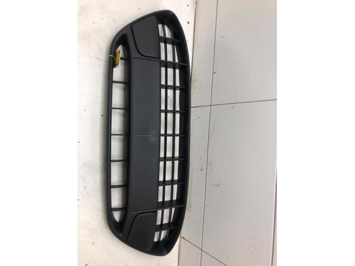 Używane Grill Ford Fiesta Cena € 82,95 Procedura marży oferowane przez Wessel Parts & Service B.V.