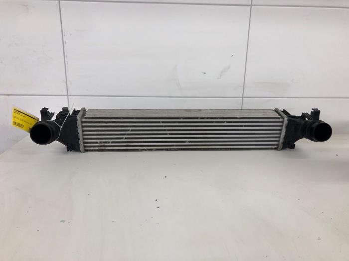 Gebrauchte Ladeluftkühler Opel Astra Preis € 82,95 Margenregelung angeboten von Wessel Parts & Service B.V.