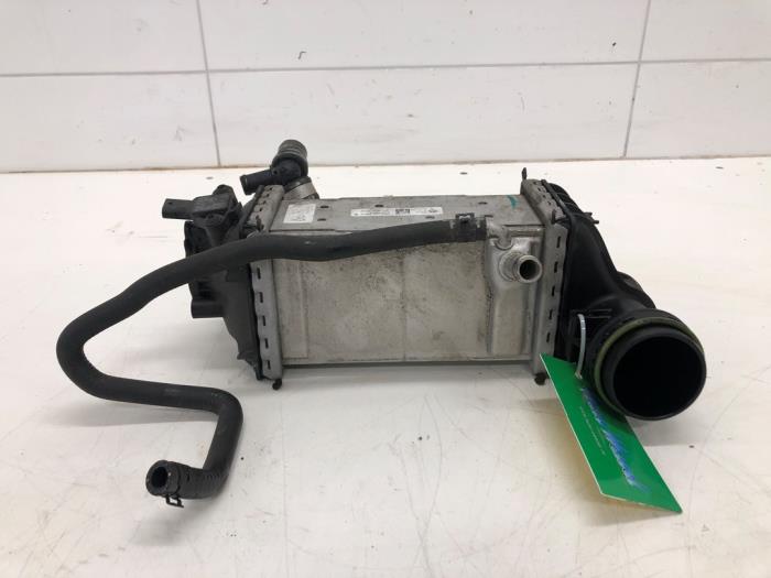 Usados Intercooler Volkswagen Polo VI (AW1) 1.0 TSI 12V Precio € 103,95 Norma de margen ofrecido por Wessel Parts & Service B.V.