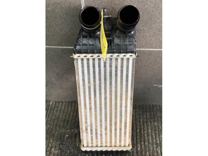 Usagé Intercooler Peugeot 2008 (CU) 1.5 BlueHDi 100 Prix € 51,45 Règlement à la marge proposé par Wessel Parts & Service B.V.