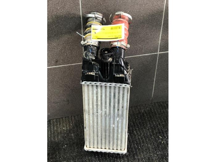 Usagé Intercooler Peugeot 2008 (CU) 1.5 BlueHDi 100 Prix € 51,45 Règlement à la marge proposé par Wessel Parts & Service B.V.