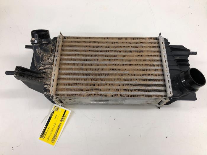 Usagé Intercooler Nissan NV 200 (M20M) 1.5 dCi 90 Prix € 61,95 Règlement à la marge proposé par Wessel Parts & Service B.V.