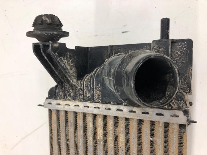 Usagé Intercooler Nissan NV 200 (M20M) 1.5 dCi 90 Prix € 61,95 Règlement à la marge proposé par Wessel Parts & Service B.V.
