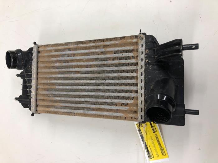 Usagé Intercooler Nissan NV 200 (M20M) 1.5 dCi 90 Prix € 61,95 Règlement à la marge proposé par Wessel Parts & Service B.V.