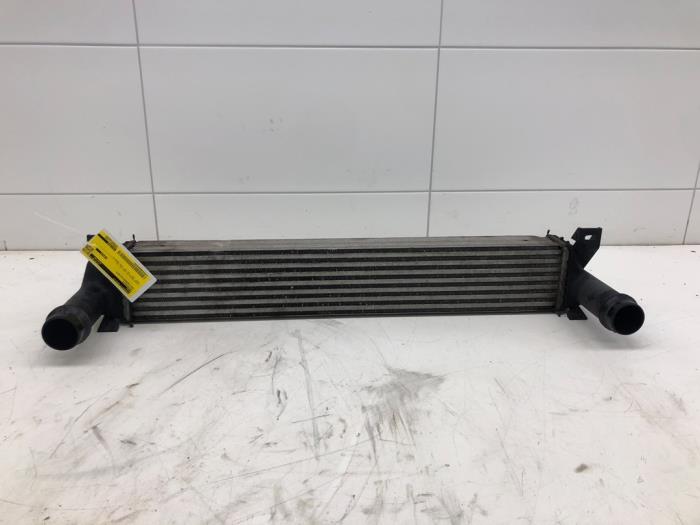 Usagé Intercooler Jeep Cherokee (KL) 2.2 Multijet II 16V 4x4 Prix € 103,95 Règlement à la marge proposé par Wessel Parts & Service B.V.