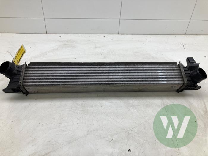Usados Intercooler Fiat Ducato (250) 2.3 D 160 Multijet AdBlue Precio € 103,95 Norma de margen ofrecido por Wessel Parts & Service B.V.