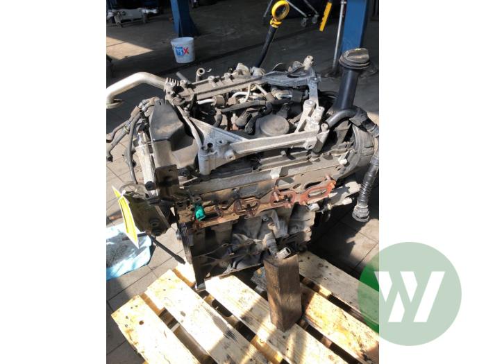 Usagé Moteur Volkswagen Transporter T6 2.0 TDI DRF Prix € 3.673,95 Règlement à la marge proposé par Wessel Parts & Service B.V.