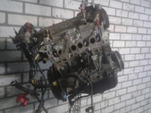 Used Engine Ford Ka II 1.2 Price € 800,00 Margin scheme offered by Autobedrijf G.H. Wessel B.V.