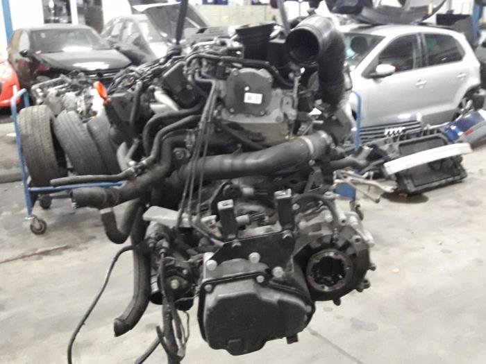 Used Volkswagen Polo (6R) 1.2 TDI 12V BlueMotion Engine CFW De Witte Boerderij B.V