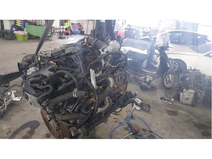 Gebrauchte Motor Ford Fiesta Preis € 500,00 Margenregelung angeboten von De Witte Boerderij AutoMotive