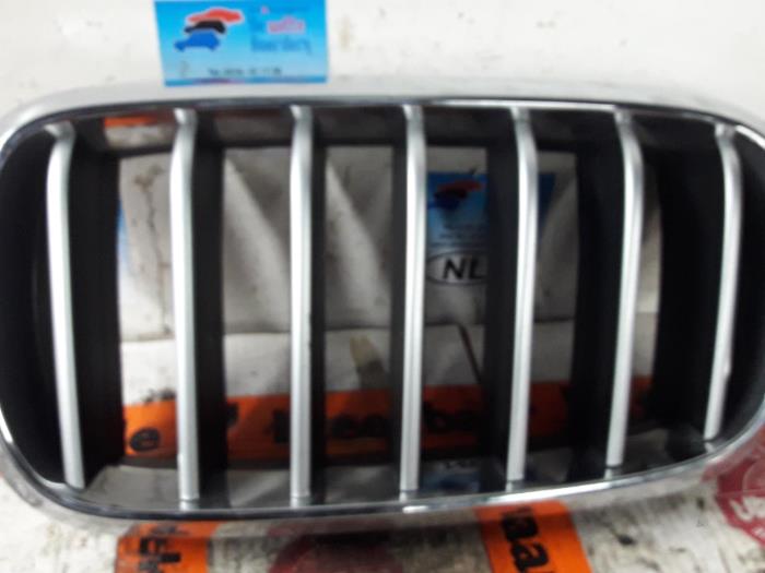 Używane Grill BMW X6 (F16) M50d 3.0 24V Cena € 50,00 Procedura marży oferowane przez De Witte Boerderij AutoMotive