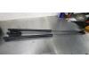 Ford Focus Set of tailgate gas struts