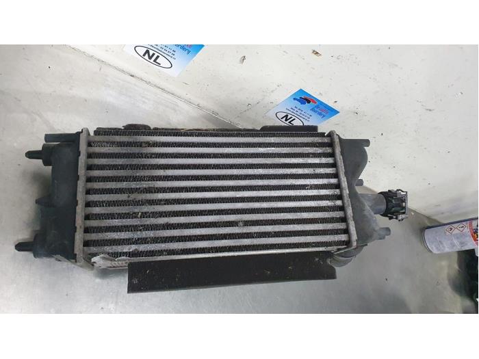 Usados Intercooler Ford Transit Courier 1.6 TDCi Precio € 75,00 Norma de margen ofrecido por De Witte Boerderij AutoMotive