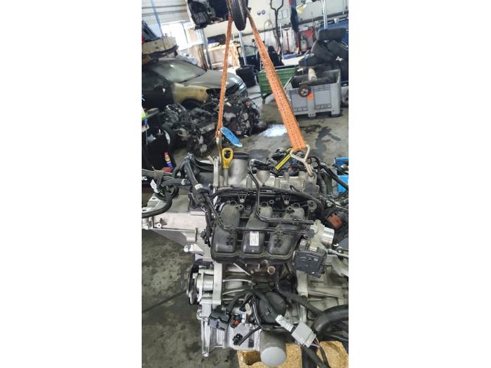 Engine Seat Ibiza - DFNA DFNA - De Witte Boerderij B.V.