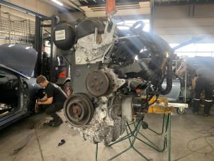 Used Engine Ford Focus 3 1.6 Ti-VCT 16V 105 Price € 500,00 Margin scheme offered by De Witte Boerderij B.V.