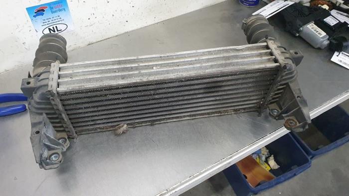 Usados Intercooler Ford Transit Connect 1.8 TDCi 90 DPF Precio € 50,00 Norma de margen ofrecido por De Witte Boerderij AutoMotive