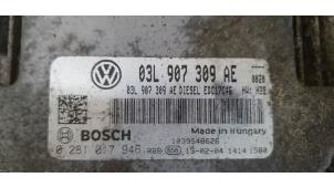 Używane Komputer sterowania silnika Volkswagen Passat Variant (365) 2.0 TDI 16V 140 Cena € 75,00 Procedura marży oferowane przez De Witte Boerderij B.V.