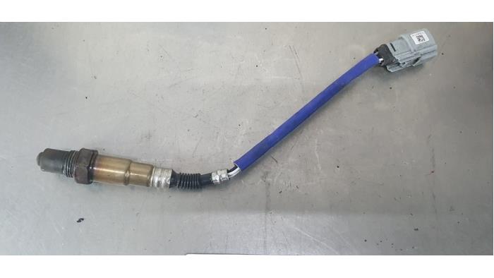 Usados Sonda Lambda Ford Fiesta 6 (JA8) 1.0 SCI 12V 80 Precio € 20,00 Norma de margen ofrecido por De Witte Boerderij AutoMotive
