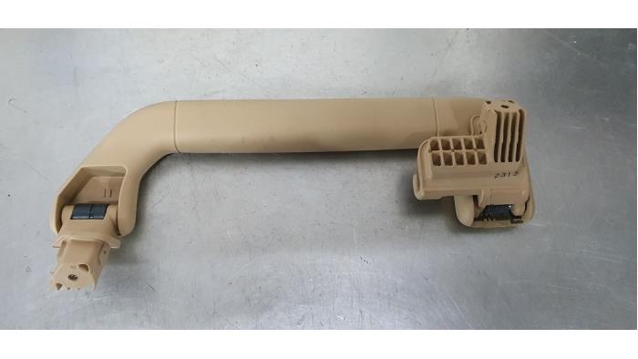 Roof grab handles